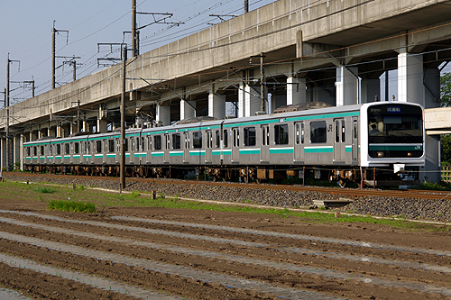 IMGP6528.jpg