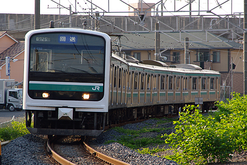 IMGP6534.jpg