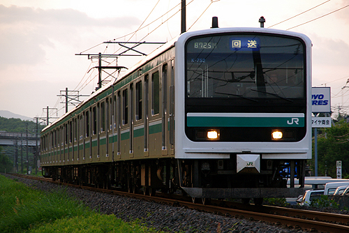 IMGP6541.jpg