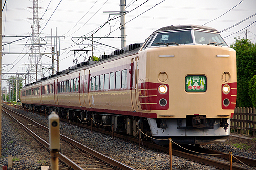 IMGP6595.jpg