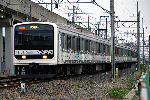 IMGP6613.jpg