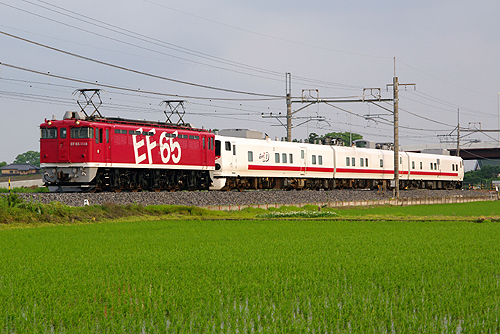 IMGP6756.jpg