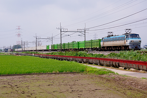 IMGP7215.jpg