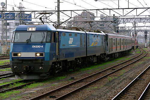 IMGP7406.jpg