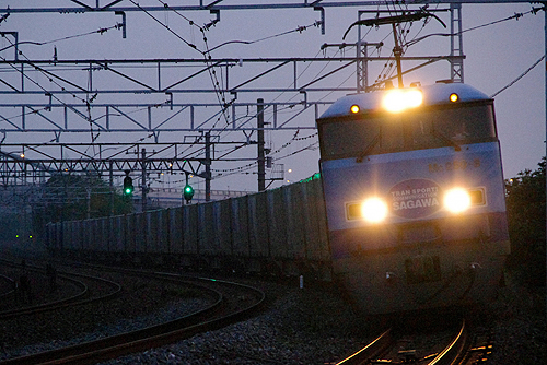 IMGP7748.jpg