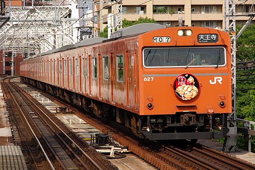 IMGP7779.jpg