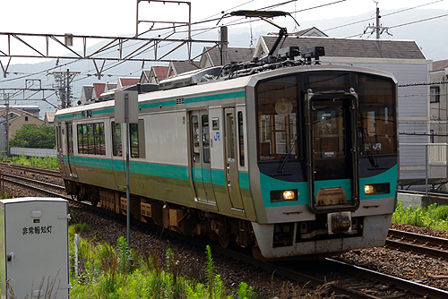IMGP7786.jpg