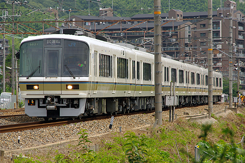 IMGP7809.jpg