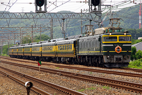 IMGP7815.jpg