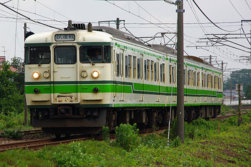 IMGP7841.jpg