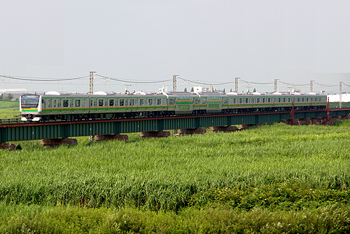 IMGP7879.jpg