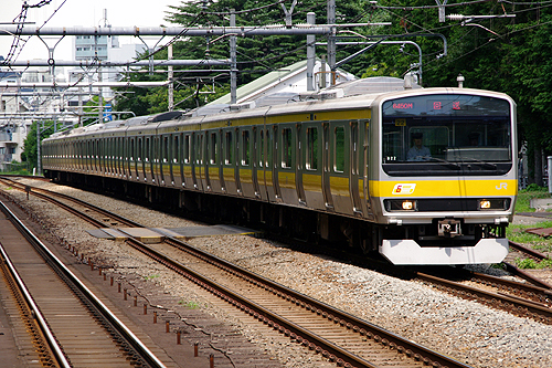 IMGP8308.jpg