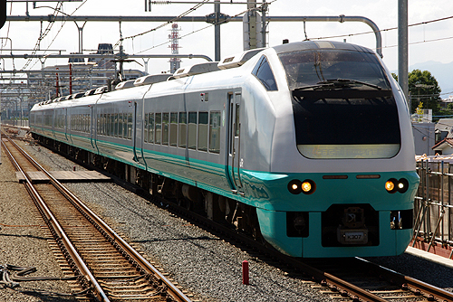 IMGP8318.jpg