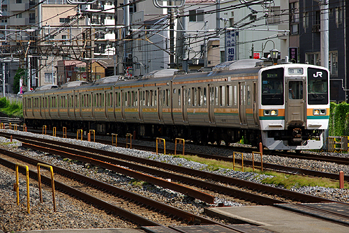 IMGP8323.jpg
