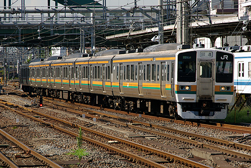 IMGP8334.jpg