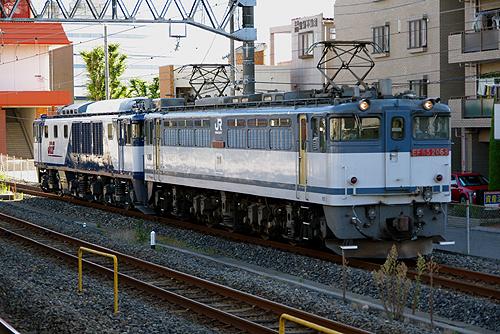IMGP8349.jpg