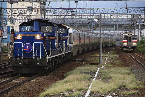IMGP9017.jpg
