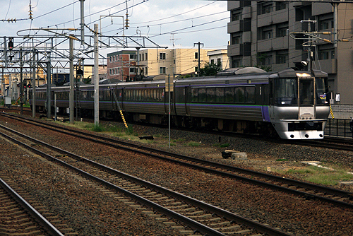 IMGP9049.jpg