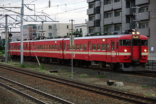 IMGP9069.jpg