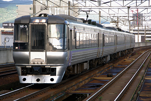 IMGP9081.jpg