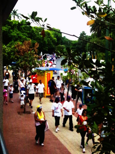 CapeBigWalk2012_01.jpg