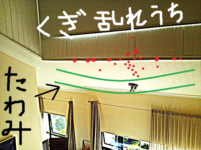 DSC_0500 - コピー