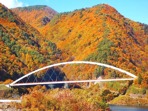 紅葉2012 (3)