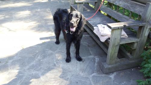 2012-0830-4.jpg