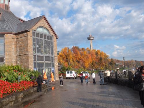 2012-1109-3.jpg