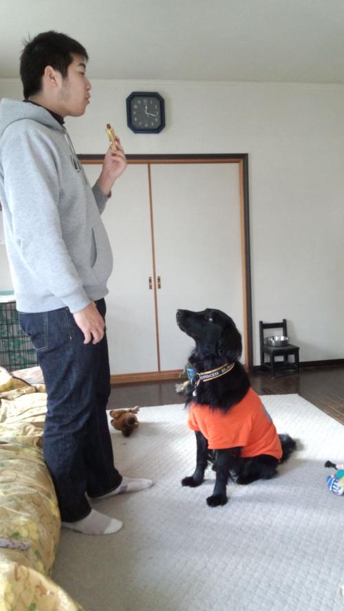 2012-1222-4.jpg