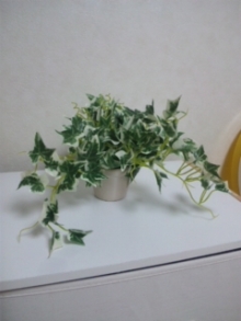 さとみゆ♪の「夢は専業主婦!」-101004_231017.jpg