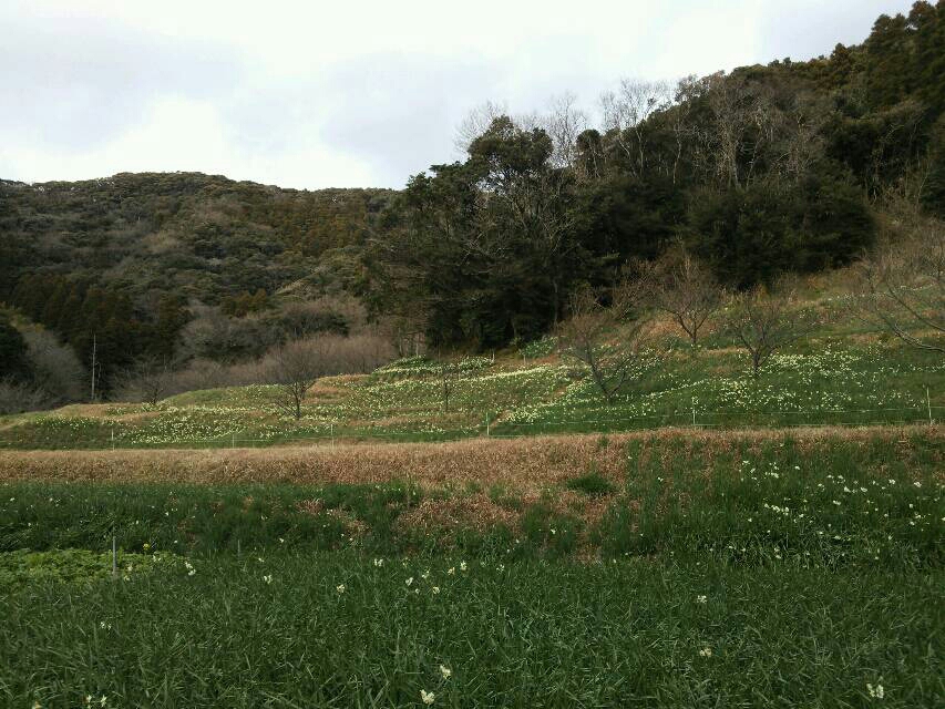 20140114124333e03.jpg