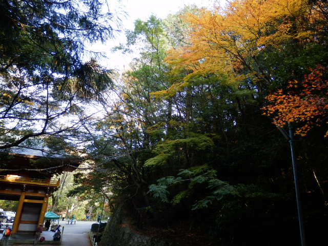 大竜寺(大龍寺) (1)