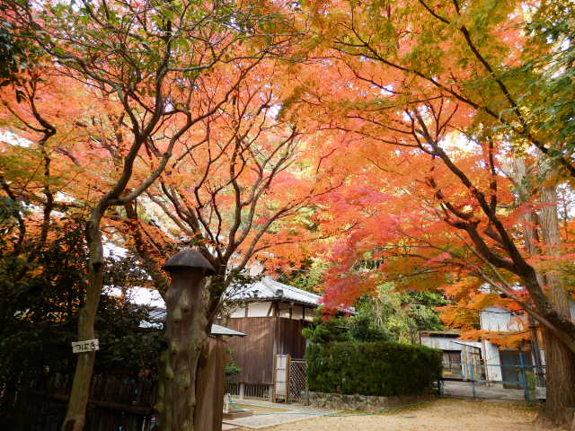 禅昌寺 (2)