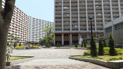 団地遊び場