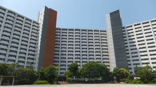 団地全景1