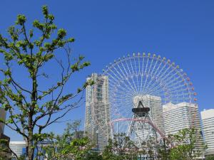 ランドマーク