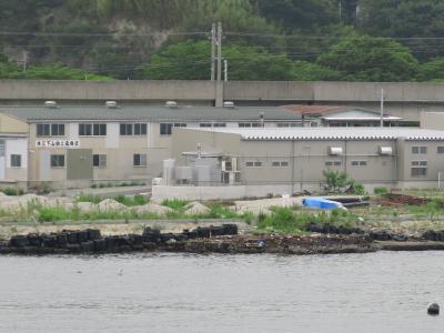 震災爪跡1