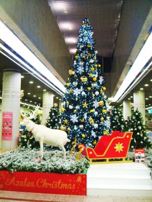 20121216~22アットホームなクリスマス2