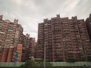 DSCF1251.jpg