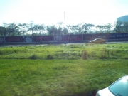 DSCF1302.jpg