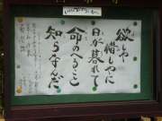 P1200050.jpg