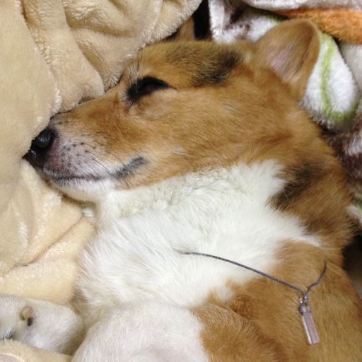 2012113001.jpg