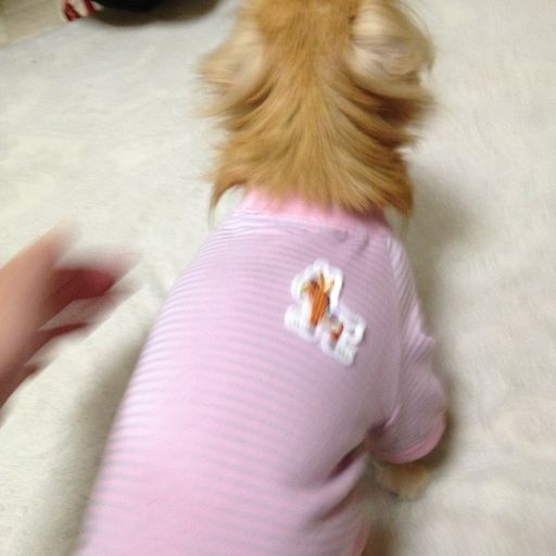 2012120105.jpg