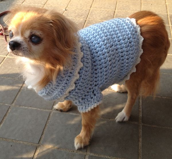 2012121003.jpg