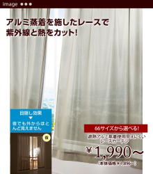 癒し系ポメラニアン『モコ』