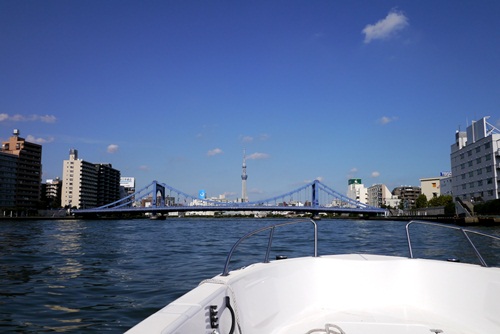 P1000157.jpg