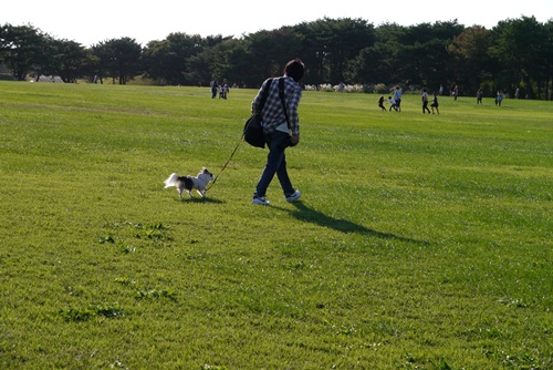 P1000420.jpg
