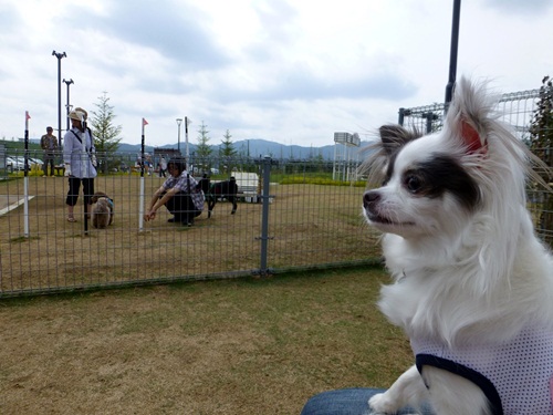 P1000716.jpg