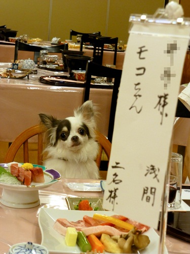 P1010116.jpg